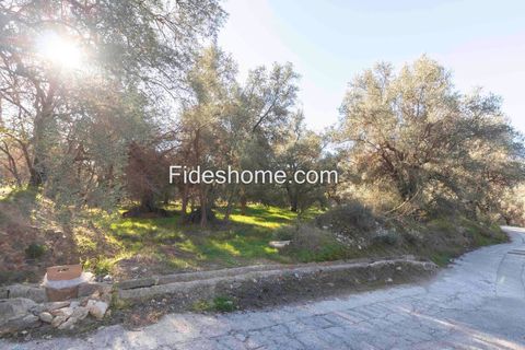 Helårsgrund i Lecrin, Granada - foto 2