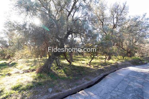Helårsgrund i Lecrin, Granada - foto 4