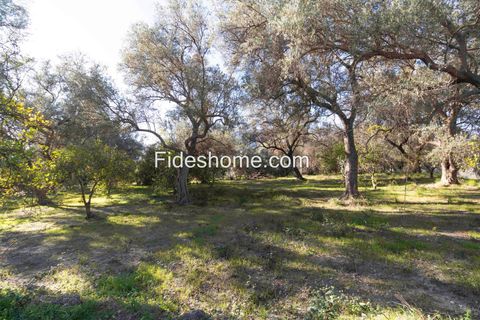 Terra a Lecrin, Granada, Lecrin - € 104.000 | Ref: 107454960 - foto 6