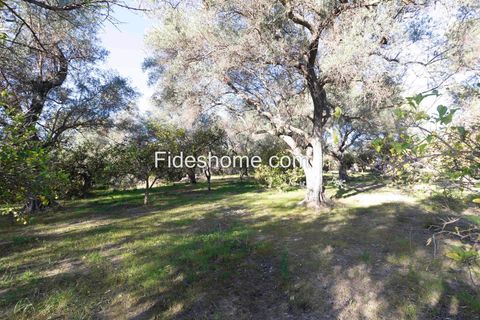 Terra a Lecrin, Granada, Lecrin - € 104.000 | Ref: 107454960 - foto 8