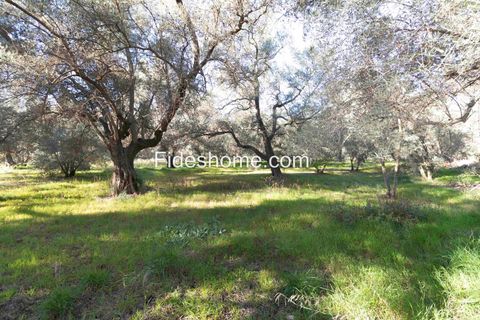 Terra a Lecrin, Granada, Lecrin - € 104.000 | Ref: 107454960 - foto 9