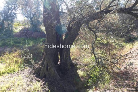 Terra a Lecrin, Granada, Lecrin - € 104.000 | Ref: 107454960 - foto 10