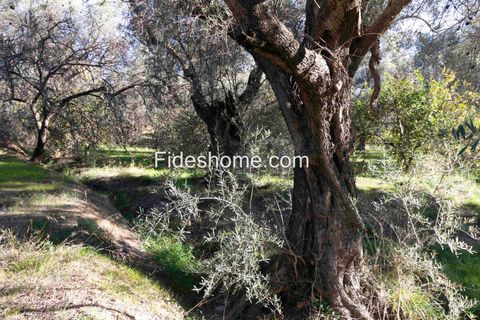 Terra a Lecrin, Granada, Lecrin - € 104.000 | Ref: 107454960 - foto 11