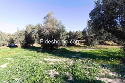 Terra a Lecrin, Granada, Lecrin - € 104.000 | Ref: 107454960 - foto 12