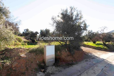 Terra a Lecrin, Granada, Lecrin - € 104.000 | Ref: 107454960 - foto 13