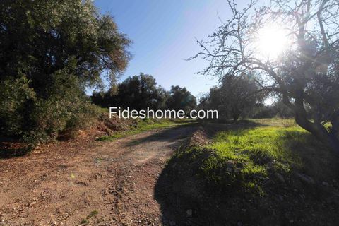 Terra a Lecrin, Granada, Lecrin - € 104.000 | Ref: 107454960 - foto 14