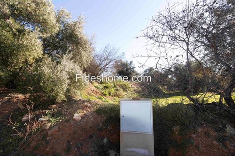 Terra a Lecrin, Granada, Lecrin - € 104.000 | Ref: 107454960 - foto 16