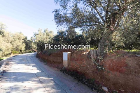Terra a Lecrin, Granada, Lecrin - € 104.000 | Ref: 107454960 - foto 18