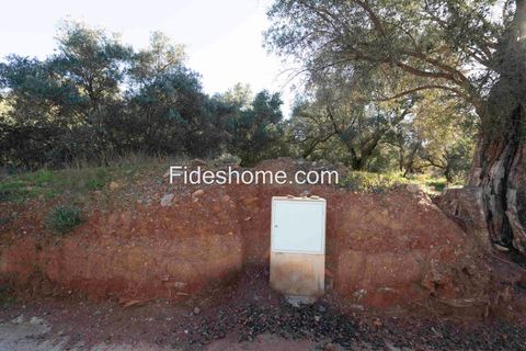 Terra a Lecrin, Granada, Lecrin - € 104.000 | Ref: 107454960 - foto 19
