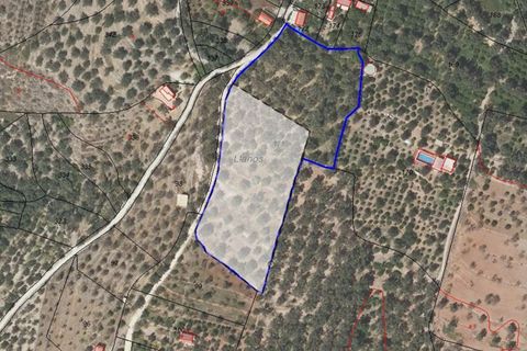 Helårsgrund i Lecrin, Granada - foto 1