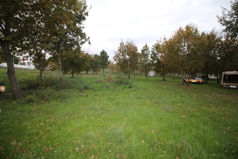 Terra a Satao, Viseu, Satao - € 195.000 | Ref: DH695 - foto 5