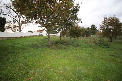 Terra a Satao, Viseu, Satao - € 195.000 | Ref: DH695 - foto 6