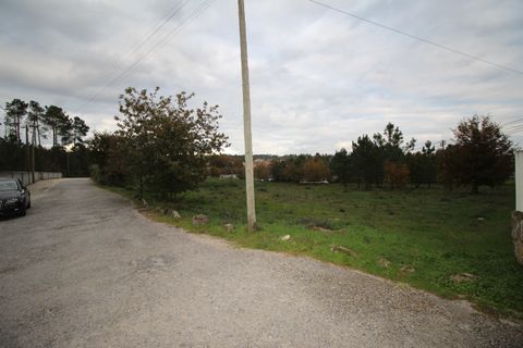 Terra a Satao, Viseu, Satao - € 195.000 | Ref: DH695 - foto 10