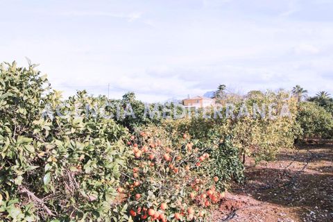 Villa i Ondara, Alicante, Ondara - € 525.000 | Ref: 5633/5940 - foto 3