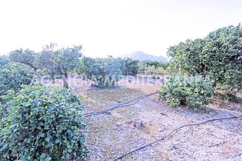 Villa i Ondara, Alicante, Ondara - € 525.000 | Ref: 5633/5940 - foto 16