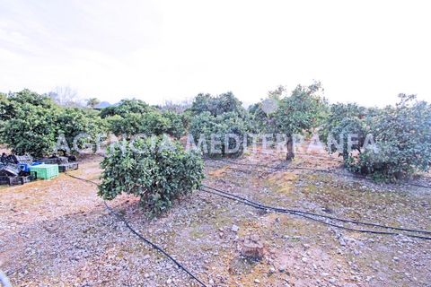 Villa i Ondara, Alicante, Ondara - € 525.000 | Ref: 5633/5940 - foto 17