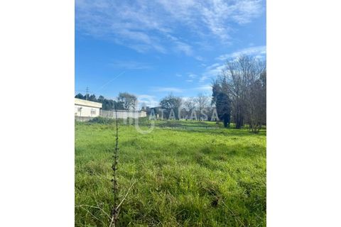 Tomt i Barro, Aveiro, Barro - € 54 000 | Ref: 16/2025 - foto 2