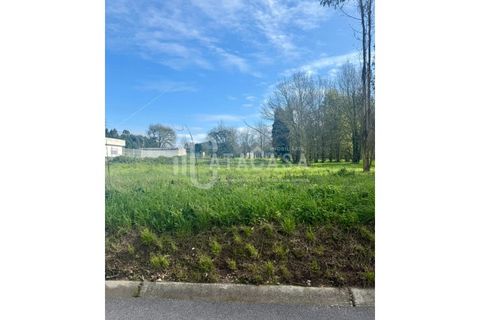 Tomt i Barro, Aveiro, Barro - € 54 000 | Ref: 16/2025 - foto 3