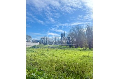 Tomt i Barro, Aveiro, Barro - € 54 000 | Ref: 16/2025 - foto 4