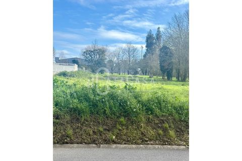 Tomt i Barro, Aveiro, Barro - € 54 000 | Ref: 16/2025 - foto 5