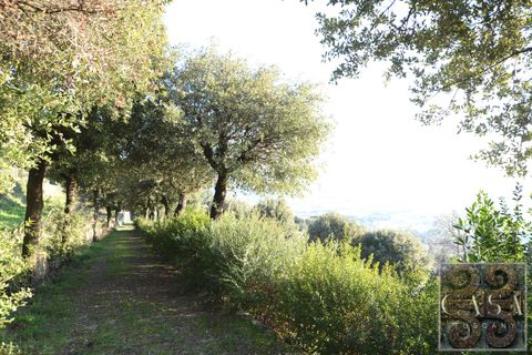Villa i Cortona, Arezzo, Cortona - € 3.170.000 | Ref: v60582-x - foto 18