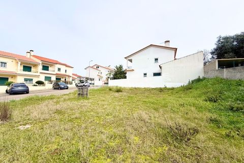 Terra a Chamusca, Santarem, Chamusca - € 32.500 | Ref: 00014-19 - foto 2