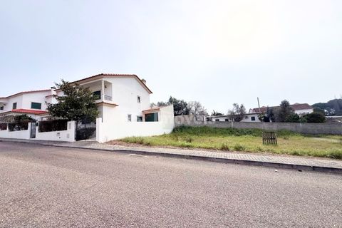 Terra a Chamusca, Santarem, Chamusca - € 32.500 | Ref: 00014-19 - foto 3