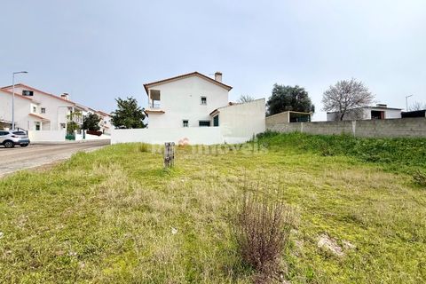 Terra a Chamusca, Santarem, Chamusca - € 32.500 | Ref: 00014-19 - foto 4