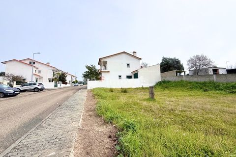 Terra a Chamusca, Santarem, Chamusca - € 32.500 | Ref: 00014-19 - foto 5