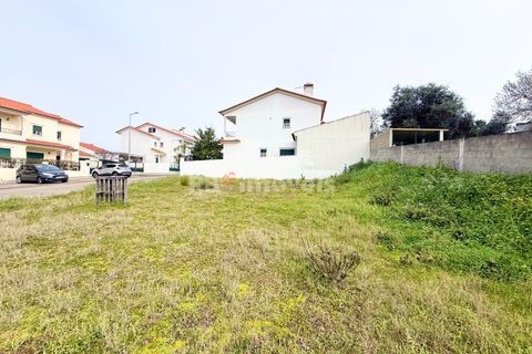 Terra a Chamusca, Santarem, Chamusca - € 32.500 | Ref: 00014-19 - foto 6