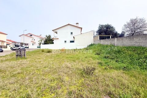 Terra a Chamusca, Santarem, Chamusca - € 32.500 | Ref: 00014-19 - foto 7
