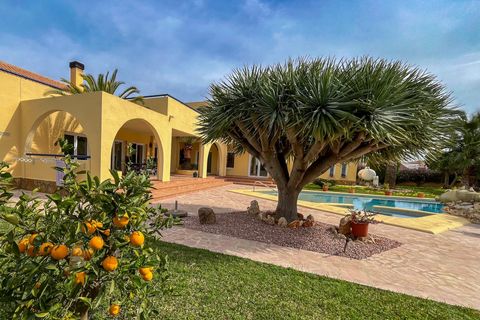Villa i Els Poblets, Alicante, Els Poblets - € 848.000 | Ref: NCB1809 - foto 22