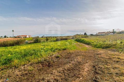 Terra a Mafra, Lisbon, Mafra - € 120.000 | Ref: V25053 - foto 3