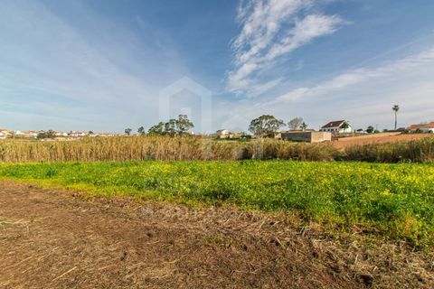 Terra a Mafra, Lisbon, Mafra - € 120.000 | Ref: V25053 - foto 4