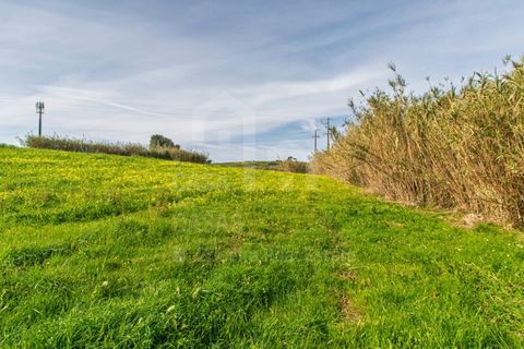 Terra a Mafra, Lisbon, Mafra - € 120.000 | Ref: V25053 - foto 6