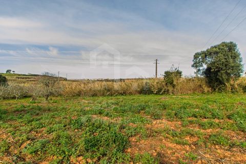 Terra a Mafra, Lisbon, Mafra - € 120.000 | Ref: V25053 - foto 8