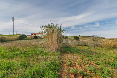 Terra a Mafra, Lisbon, Mafra - € 120.000 | Ref: V25053 - foto 9