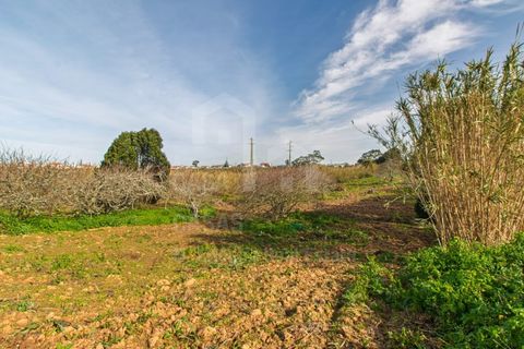 Terra a Mafra, Lisbon, Mafra - € 120.000 | Ref: V25053 - foto 11