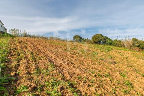 Terra a Mafra, Lisbon, Mafra - € 120.000 | Ref: V25053 - foto 12