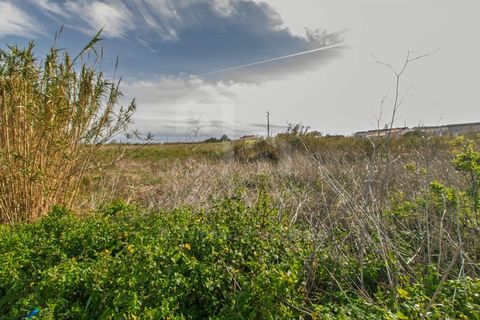 Terra a Mafra, Lisbon, Mafra - € 120.000 | Ref: V25053 - foto 13