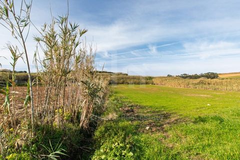 Helårsgrund i Mafra, Lisbon, Mafra - € 100.000 | Ref: V25052 - foto 1