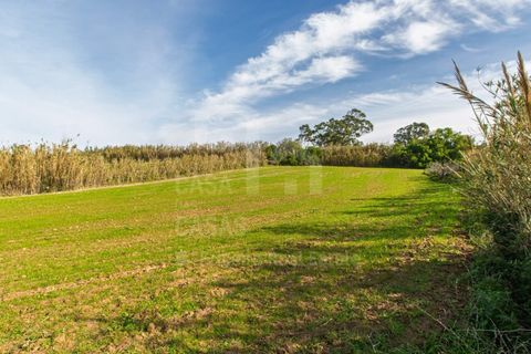 Helårsgrund i Mafra, Lisbon, Mafra - € 100.000 | Ref: V25052 - foto 2