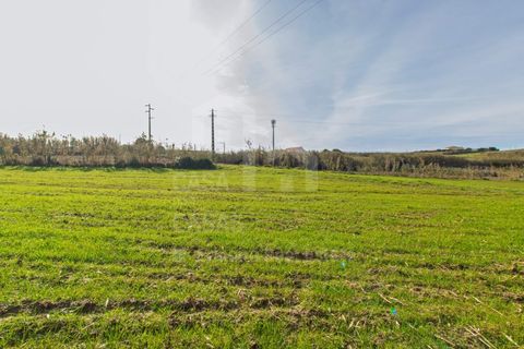 Helårsgrund i Mafra, Lisbon, Mafra - € 100.000 | Ref: V25052 - foto 3