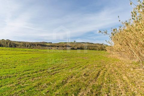 Helårsgrund i Mafra, Lisbon, Mafra - € 100.000 | Ref: V25052 - foto 4