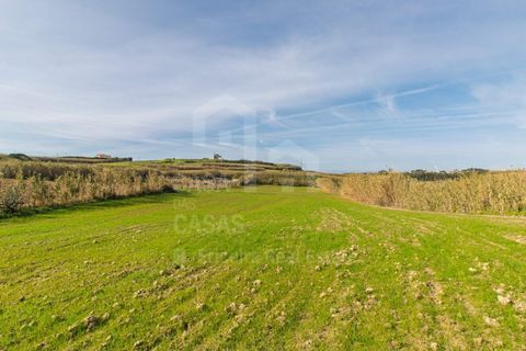 Helårsgrund i Mafra, Lisbon, Mafra - € 100.000 | Ref: V25052 - foto 5