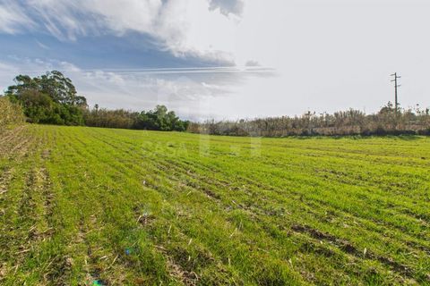 Helårsgrund i Mafra, Lisbon, Mafra - € 100.000 | Ref: V25052 - foto 6