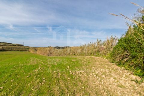 Helårsgrund i Mafra, Lisbon, Mafra - € 100.000 | Ref: V25052 - foto 7