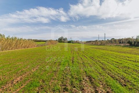 Helårsgrund i Mafra, Lisbon, Mafra - € 100.000 | Ref: V25052 - foto 8