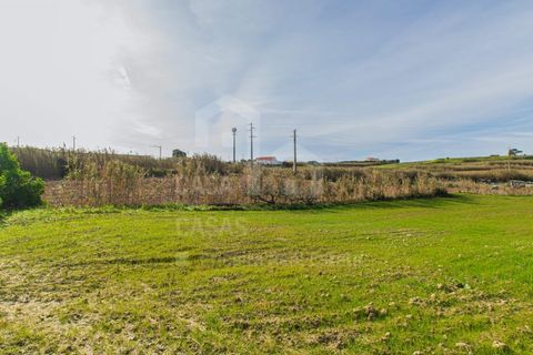 Helårsgrund i Mafra, Lisbon, Mafra - € 100.000 | Ref: V25052 - foto 9