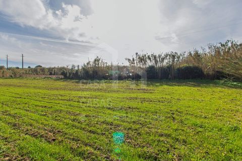 Helårsgrund i Mafra, Lisbon, Mafra - € 100.000 | Ref: V25052 - foto 10